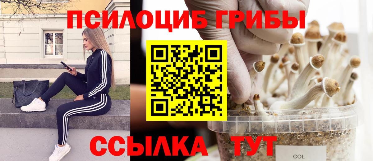 Псилоцибиновые грибы Psilocybine cubensis Дзержинск