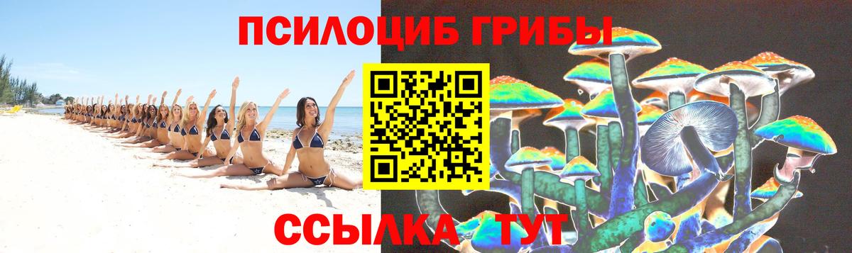 Псилоцибиновые грибы Psilocybine cubensis  Вход с VPN  Дзержинск 